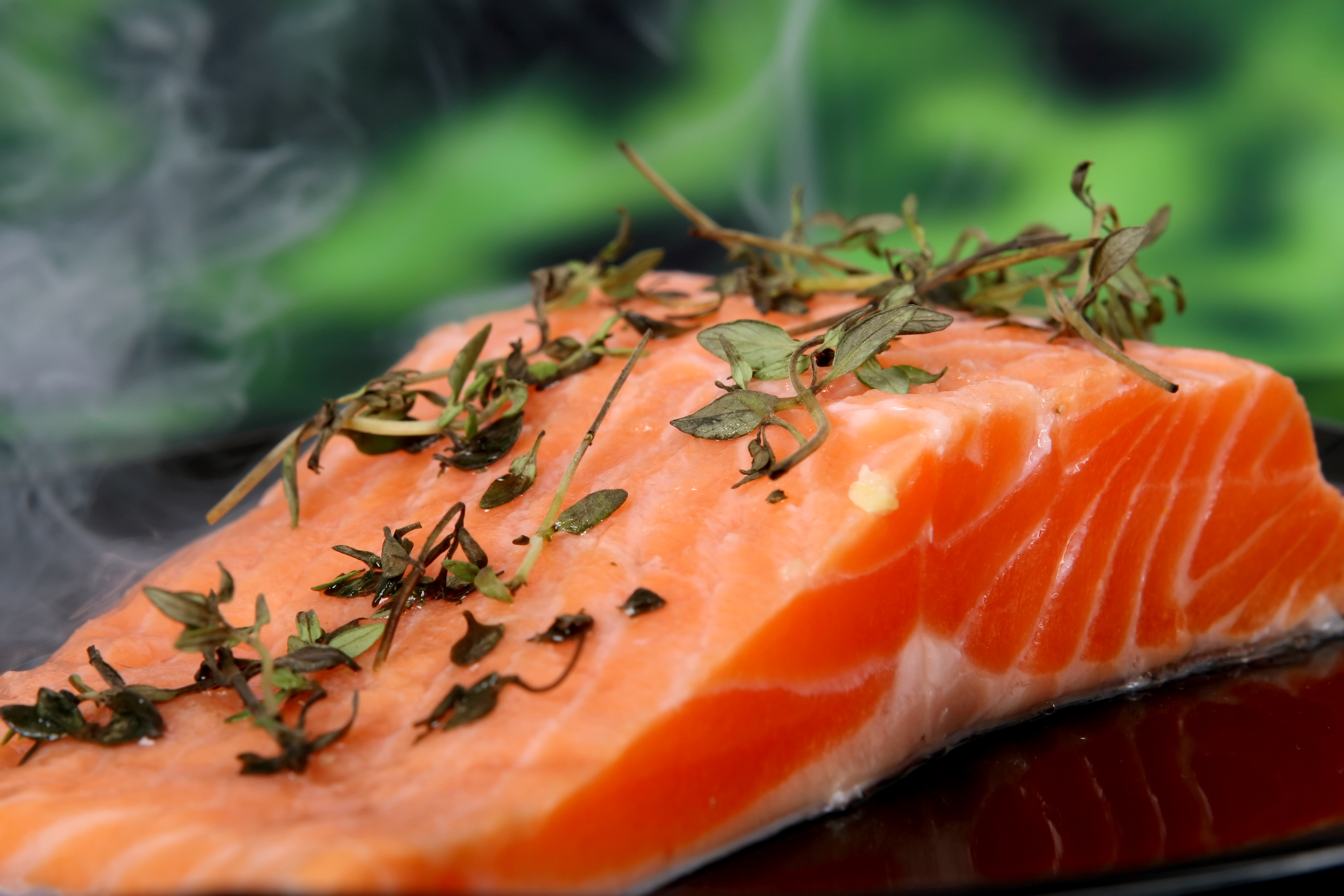 salmon dieta proteica
